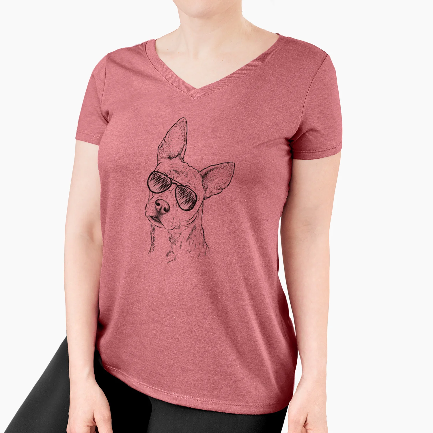 Aviator Diesel the Mixed Breed - Women's V-neck Shirt - Image 7
