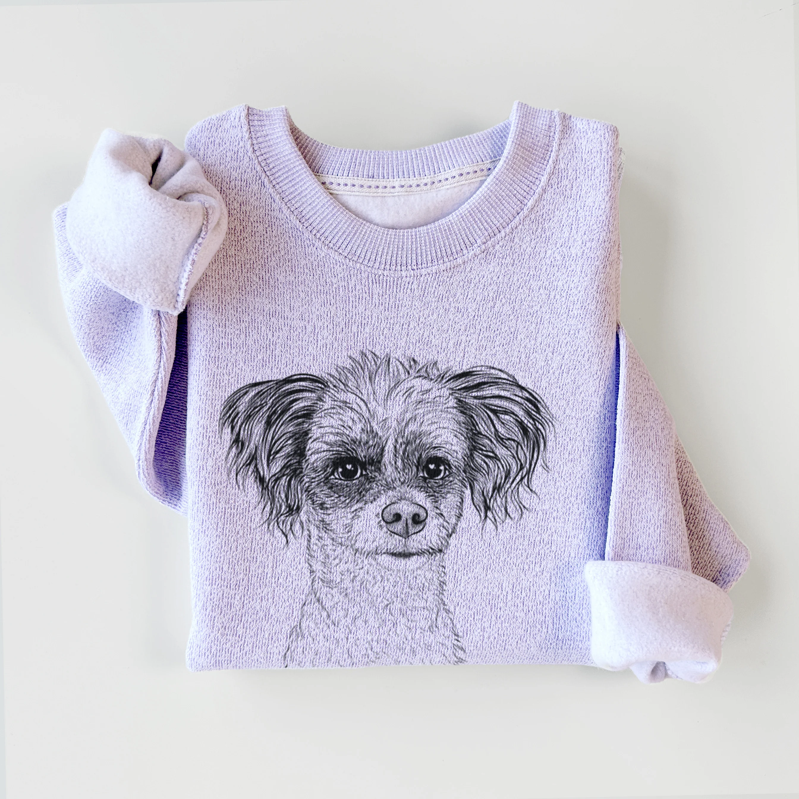 Finley the Papillon Mix - Knit Sweatshirt - Image 7
