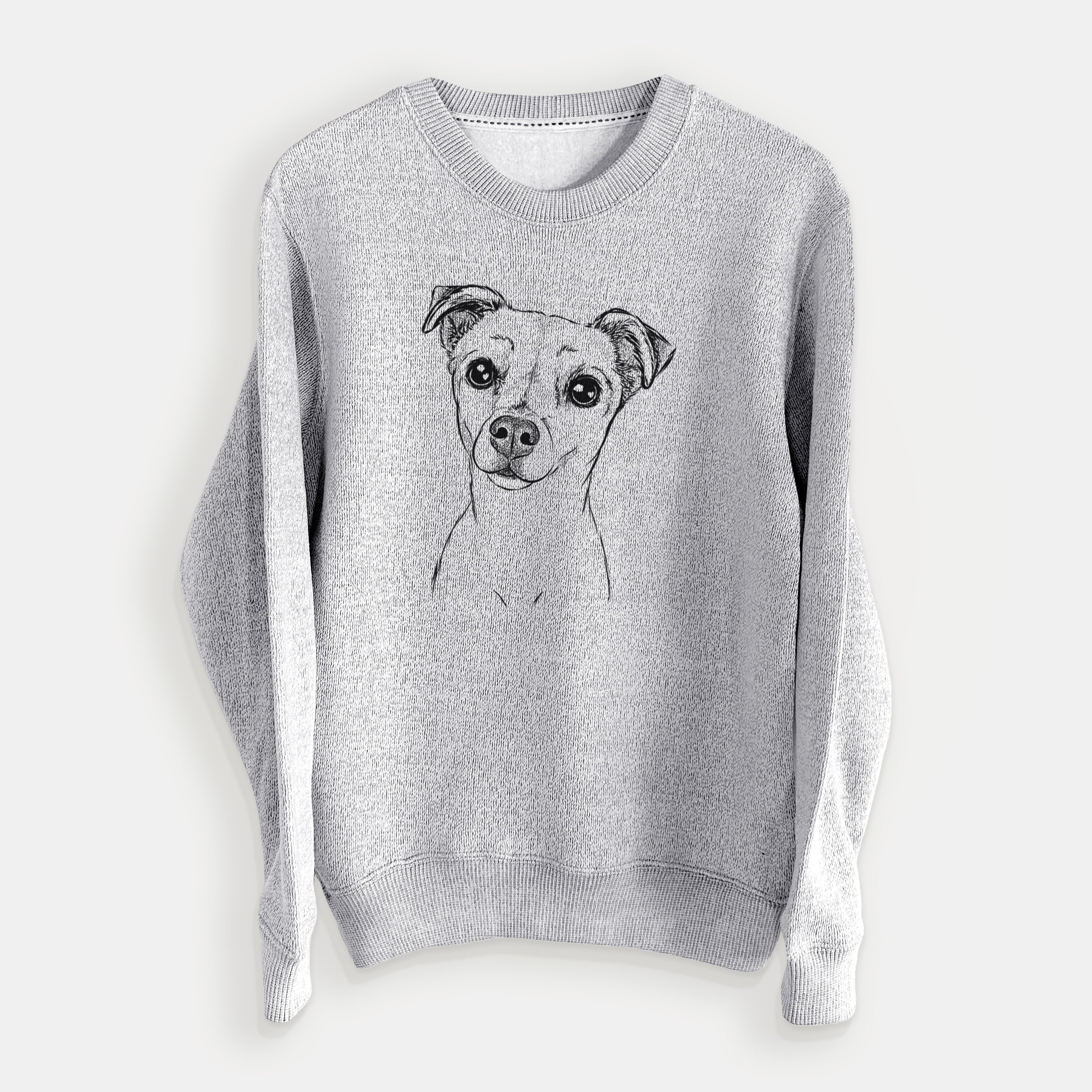 Izzy the Chiweenie - Knit Sweatshirt