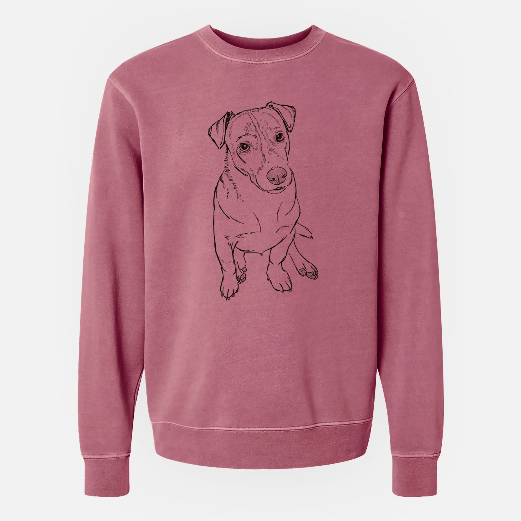 Doodled Buttercup the Mixed Breed - Unisex Pigment Dyed Crew Sweatshirt - Image 8
