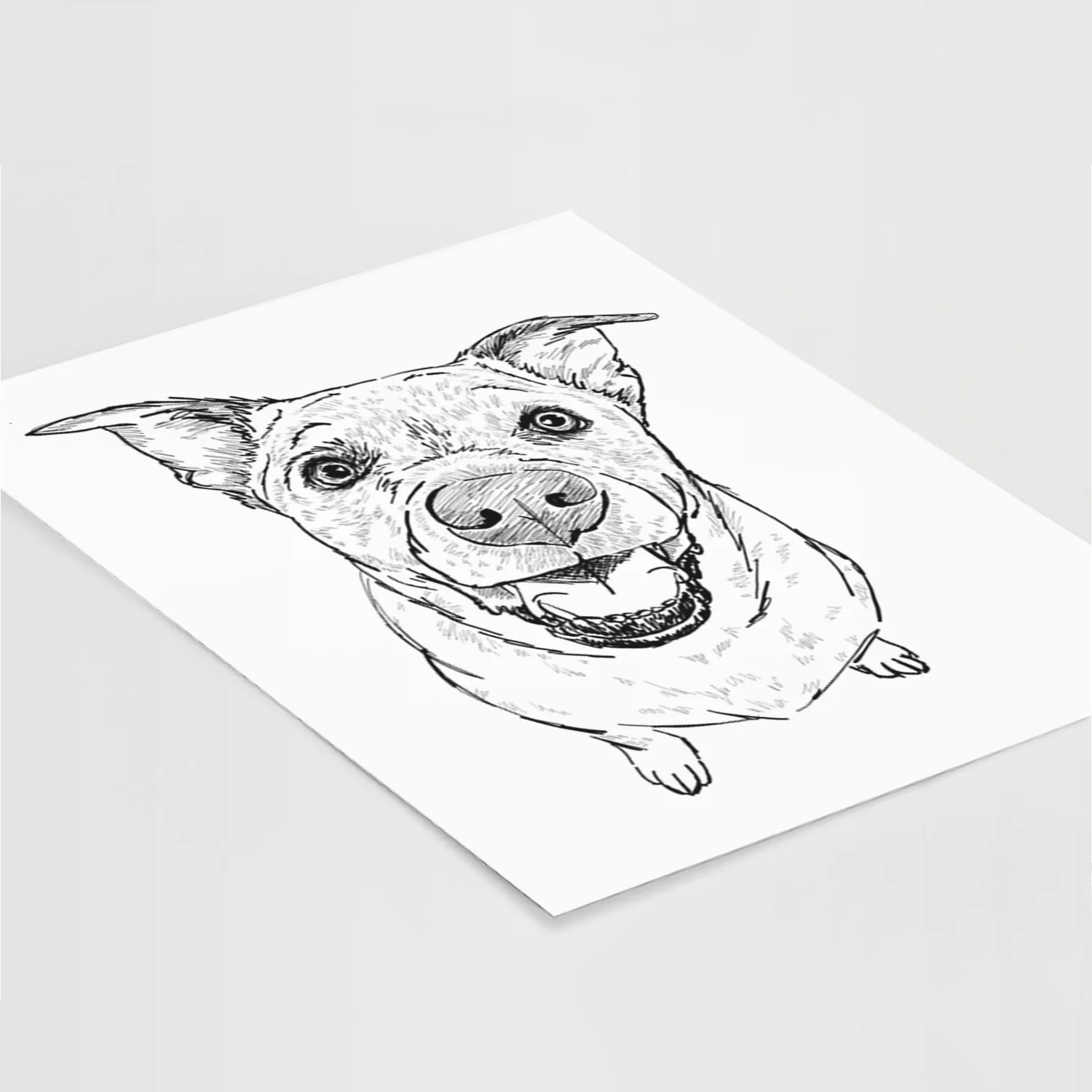 Doodled Boulder the Boxer/Heeler/Corgi Art Print - Image 5