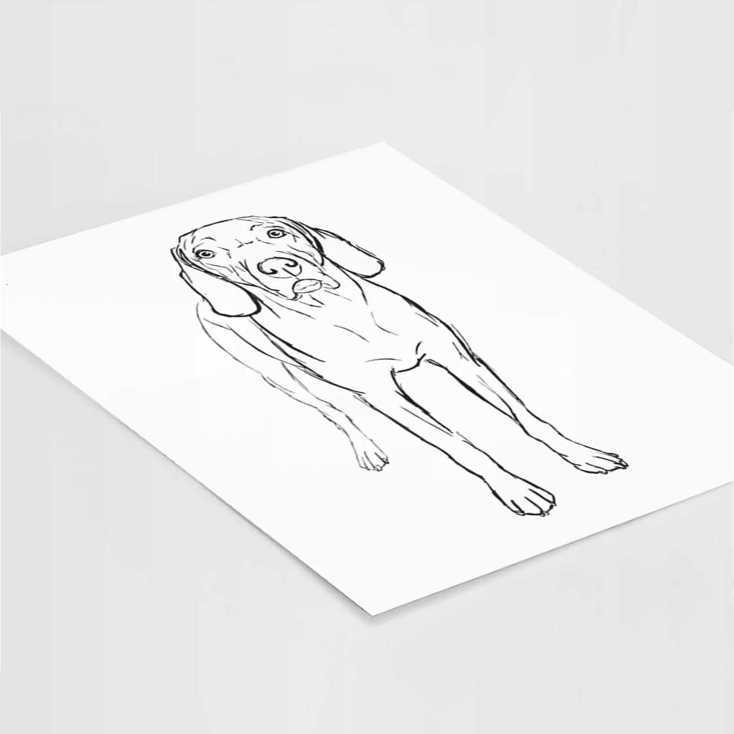 Doodled Hildy the Weimaraner Art Print - Image 5