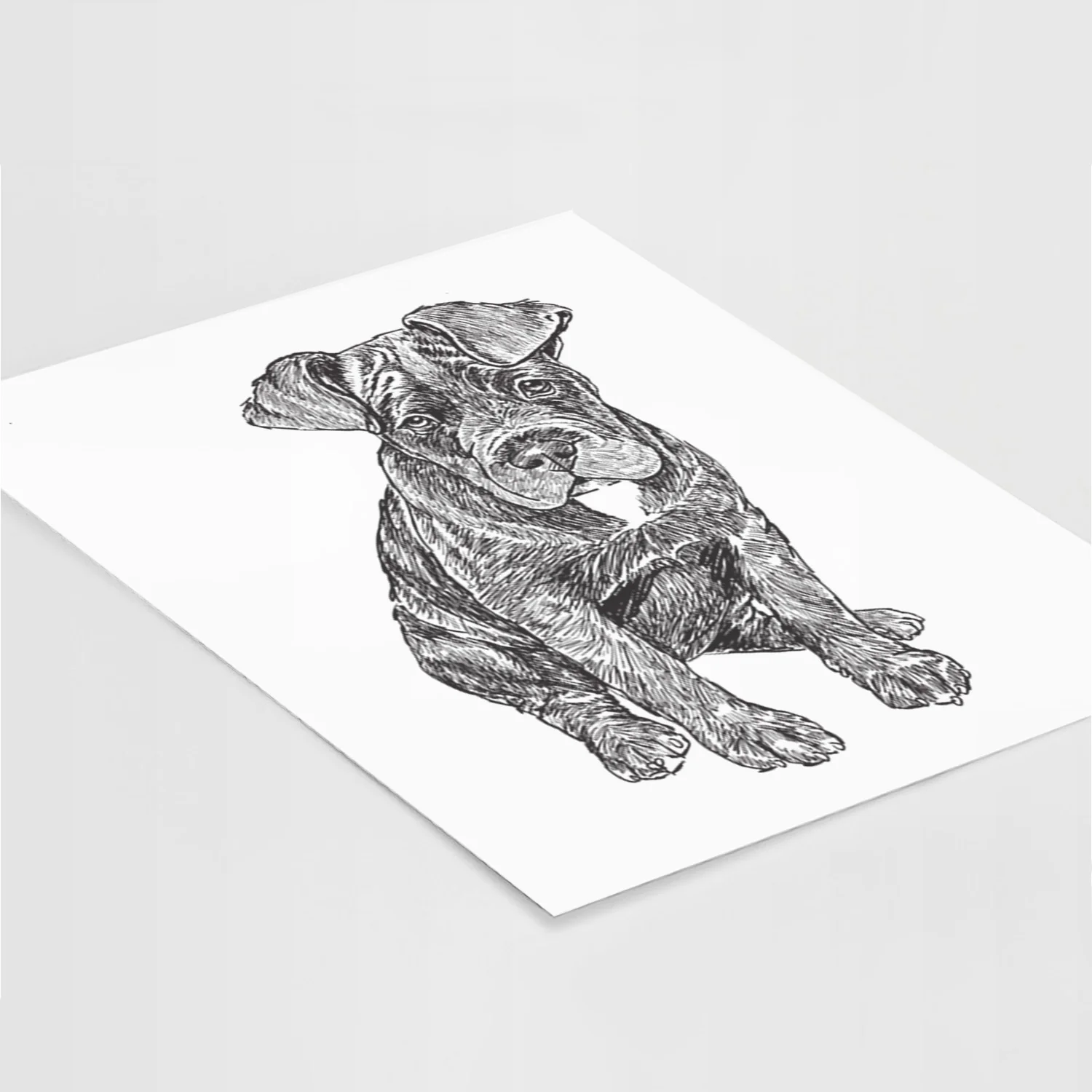 Doodled Kona the Cane Corso Art Print - Image 5