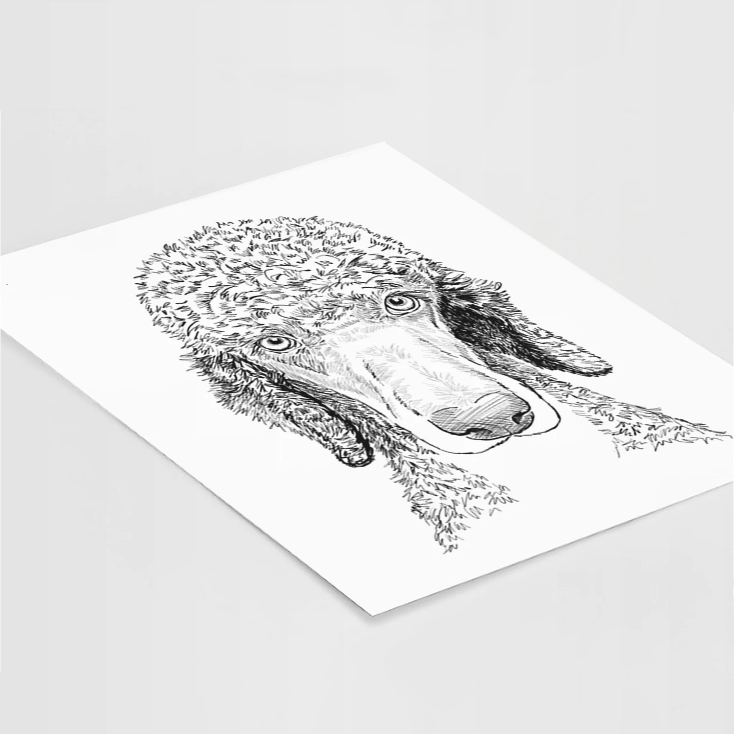 Doodled Kona the Poodle Art Print - Image 5