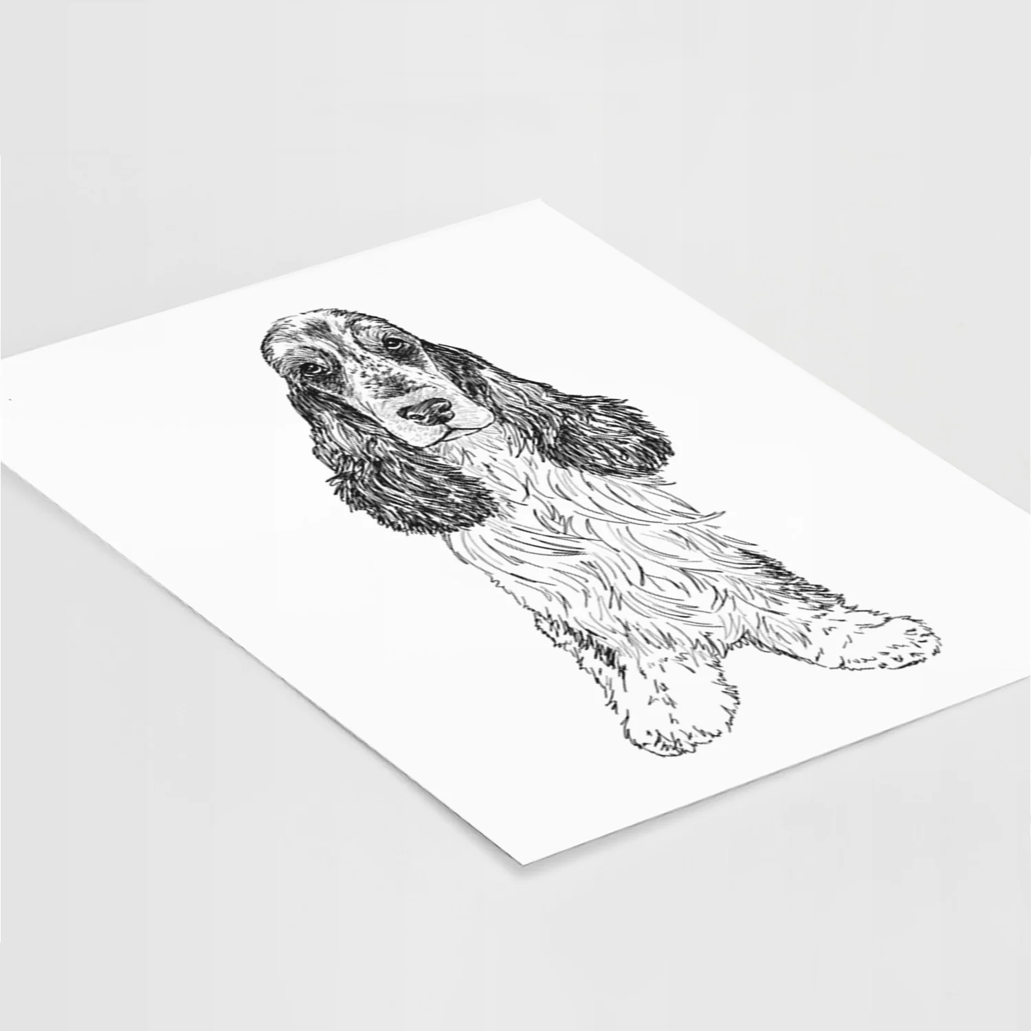 Doodled Rupert the Cocker Spaniel Art Print - Image 5
