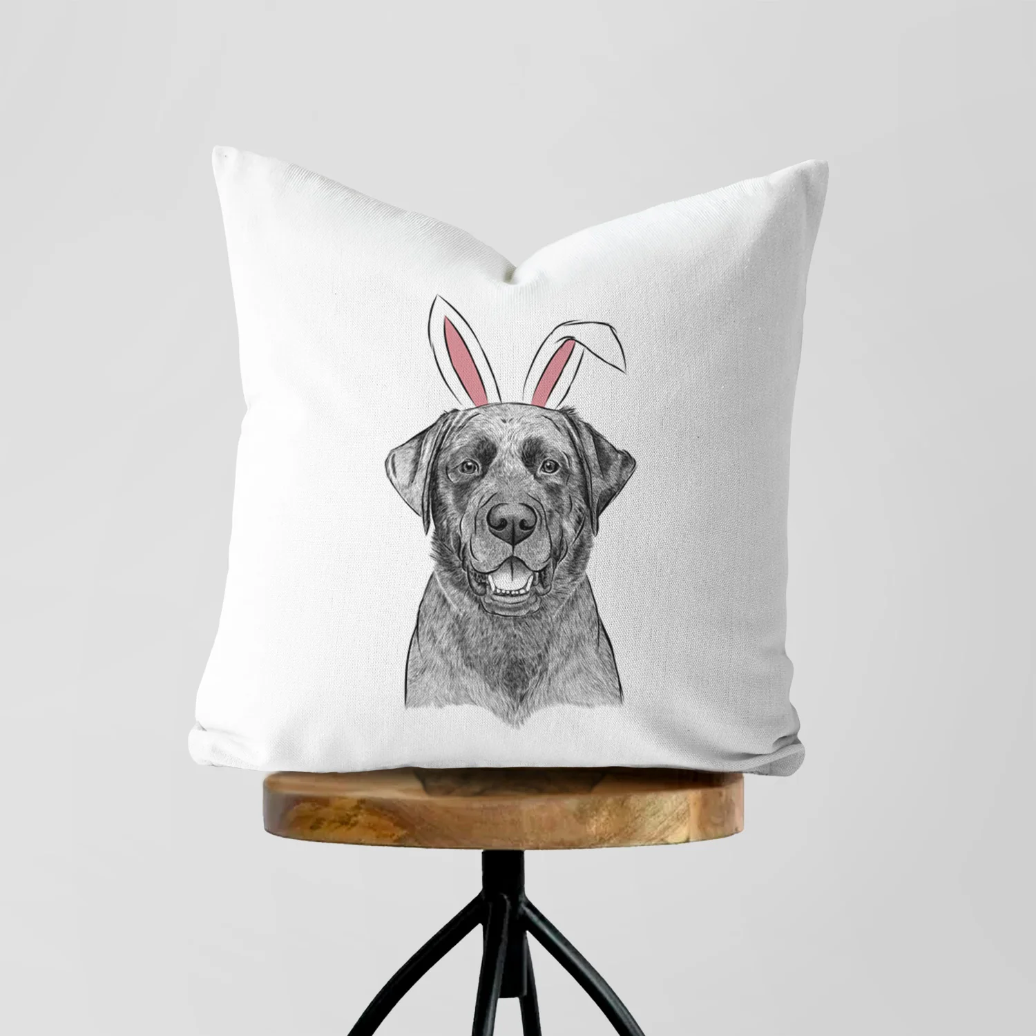 Heath the Black Lab - Throw Pillow Cover - Image 5