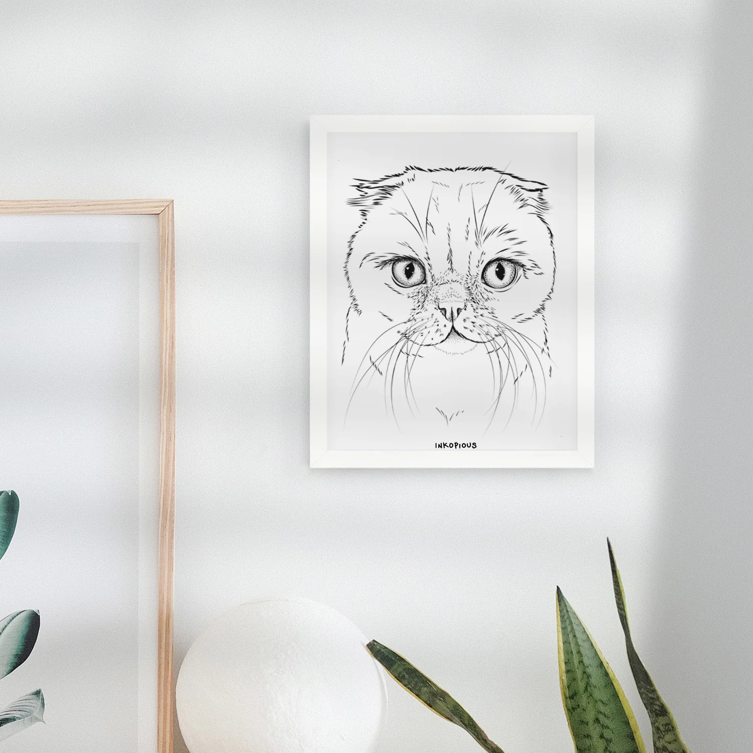 Lina the Exotic Fold Cat Art Print - Image 4