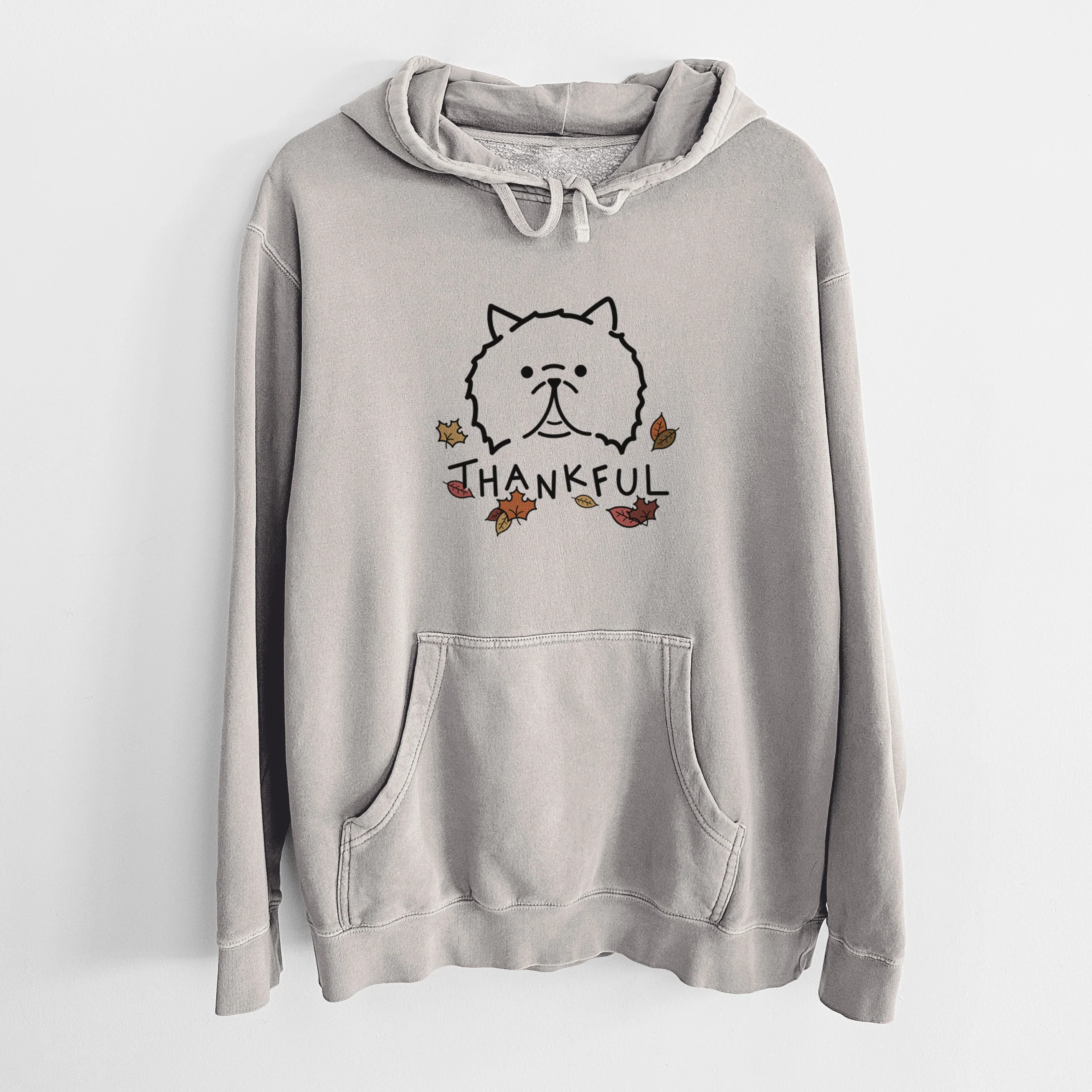 Thankful Persian Cat - Smoosh - Unisex Pigment Dyed Hoodie - Image 5