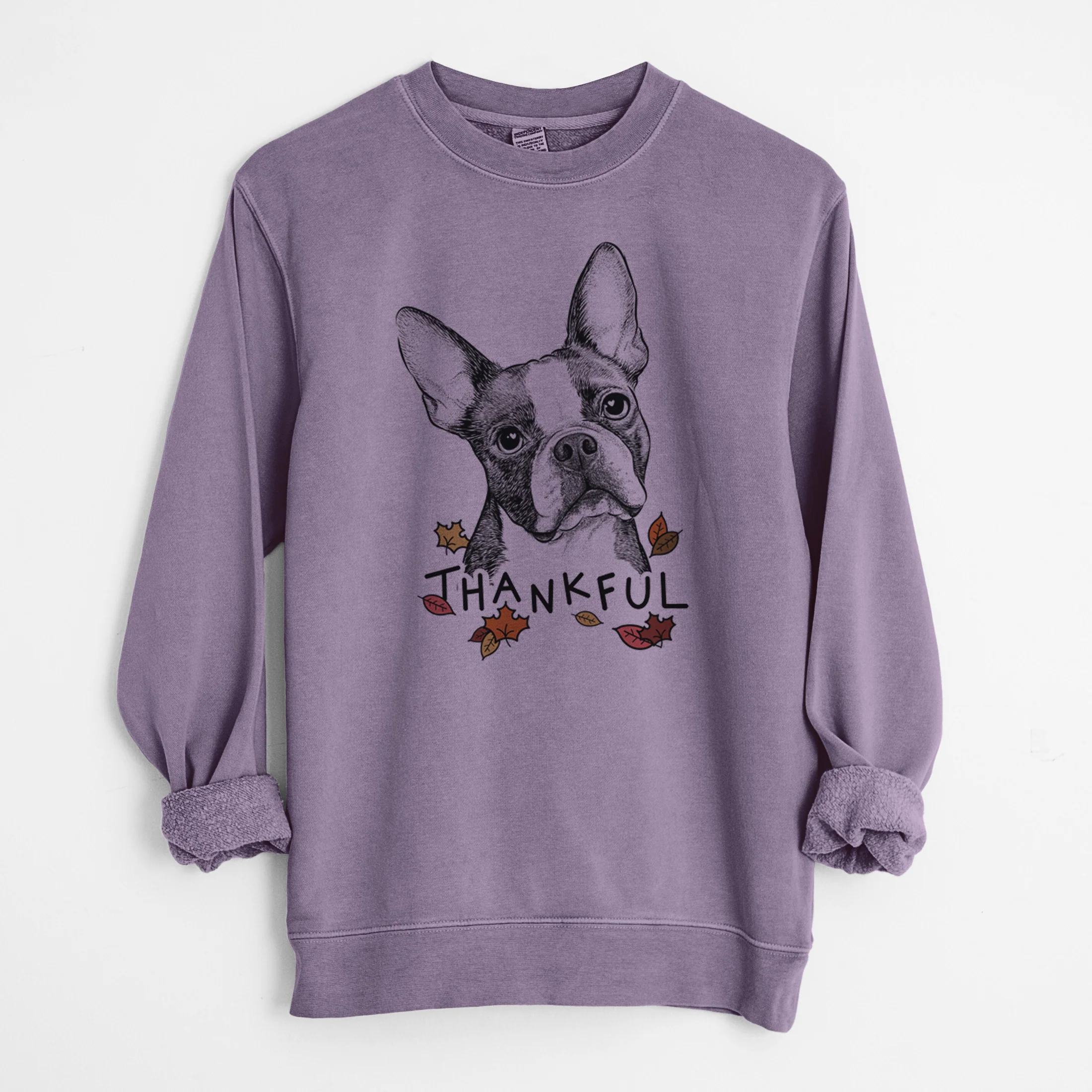 Thankful Dee Dee the Boston Terrier - Unisex Pigment Dyed Crew Sweatshirt - Image 10
