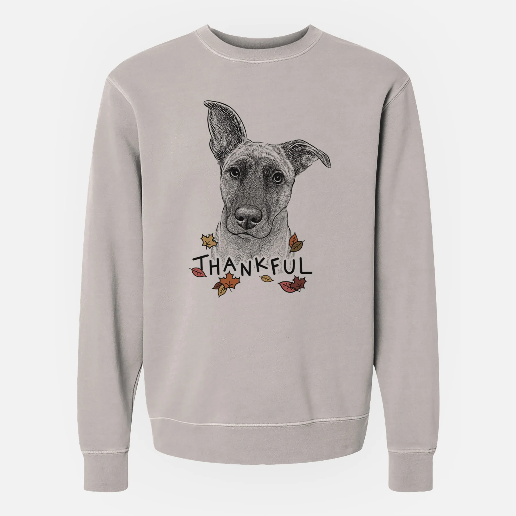 Thankful Zoey the Mixed Breed - Unisex Pigment Dyed Crew Sweatshirt - Image 3